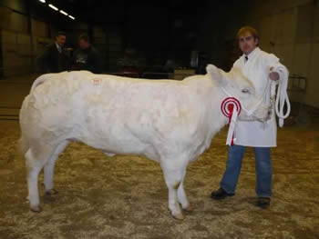 Matthew Jones with Reserve Champion Female Graymar Diamond